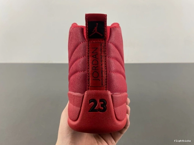 Gym Retro 12 Air 130690-601 (2018) Red Jordan 0730